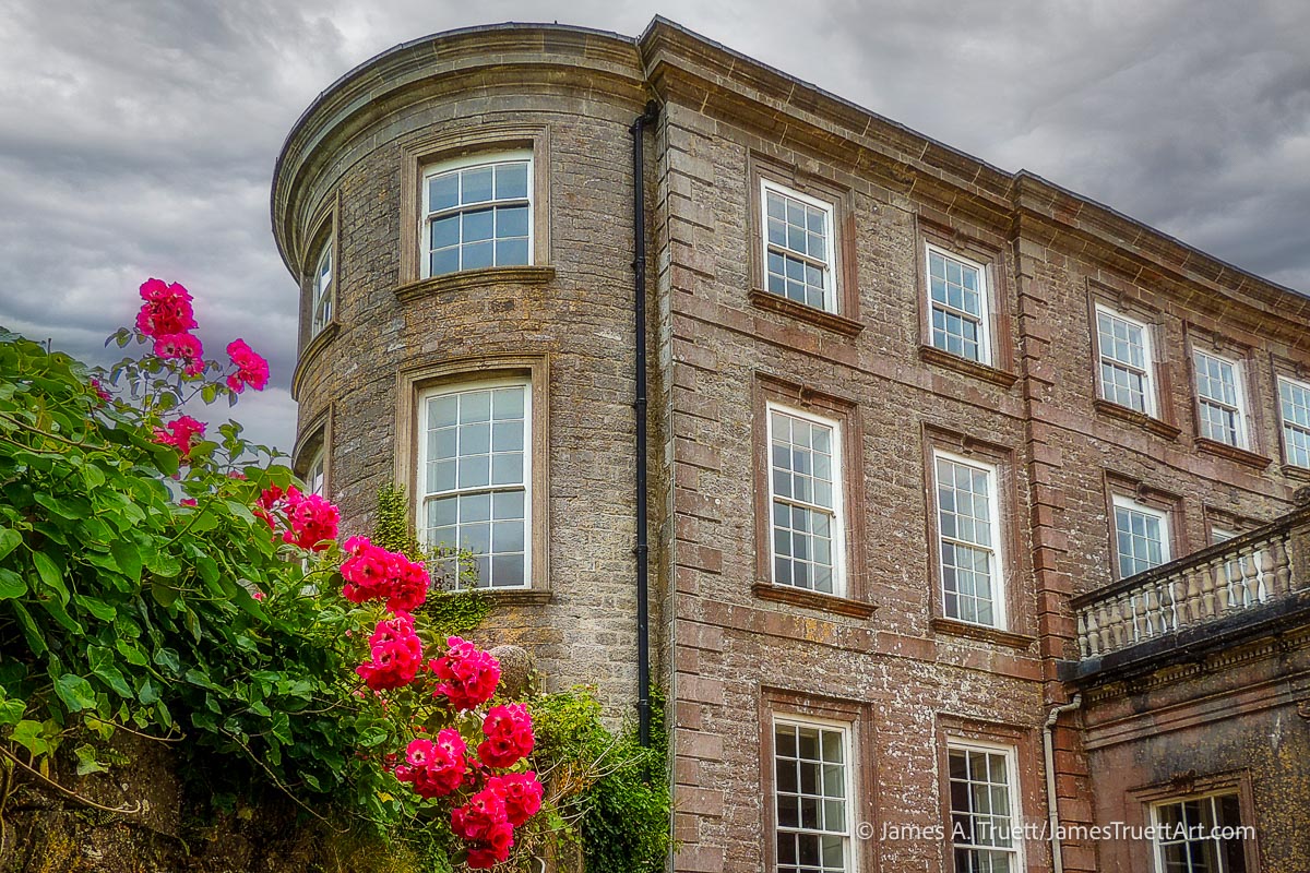 Flowers on the side of Doneraile Court.