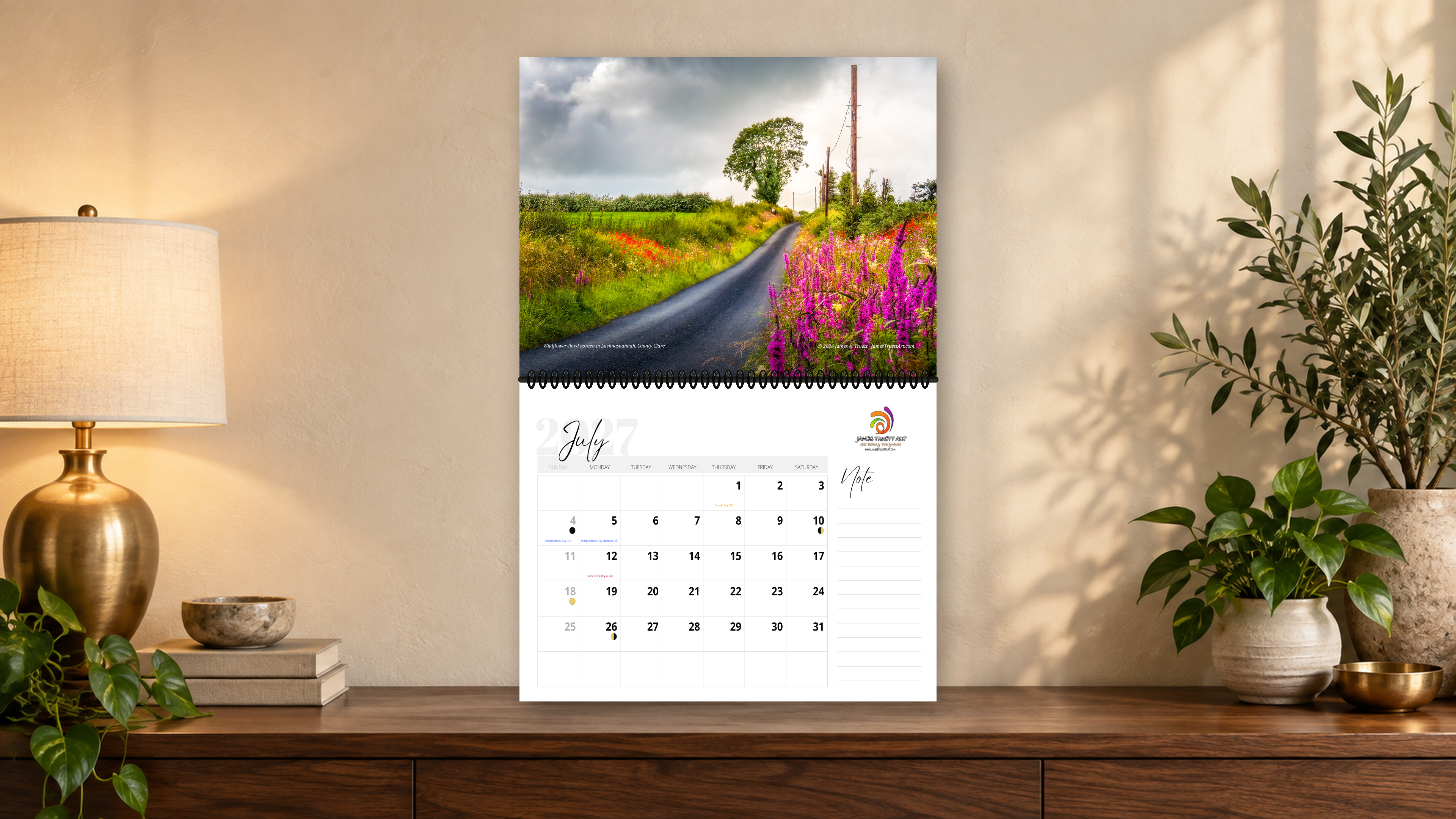 Wildflower-lined country road in County Clare.