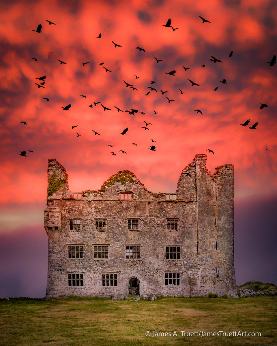 The Birds of Leamaneh Castle, County Clare. The Birds of Leamaneh Castle, County Clare.
