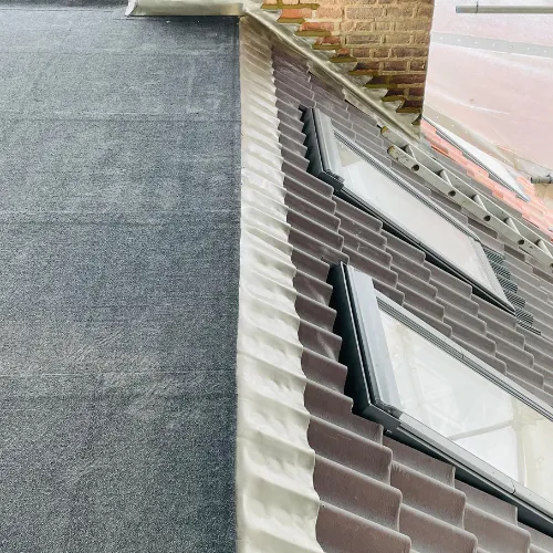 Recent roof project