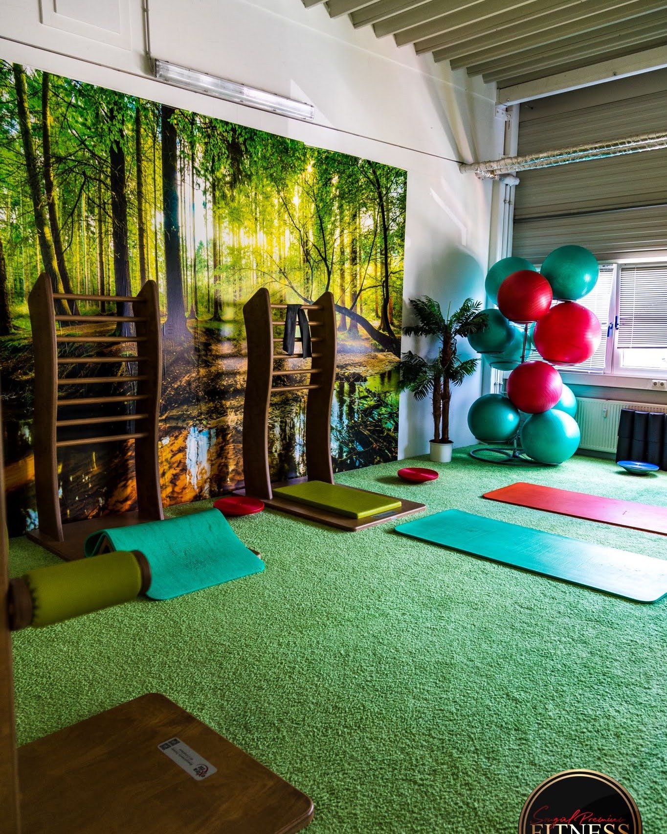 Trainingsraum mit Balance-Equipment, Matten und Gymnastikbällen im Studio