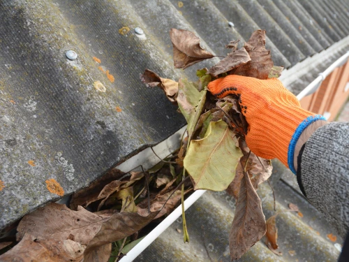 Gutter cleaning in Highland Acres