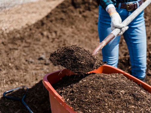 Mulching in Highland Acres