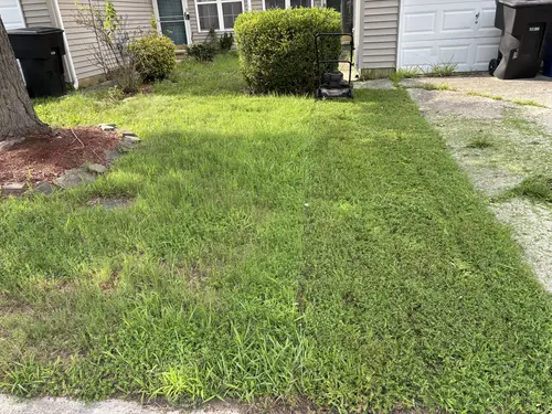 Lawn Renovation Highland Acres