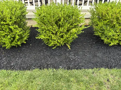 Planting Highland Acres