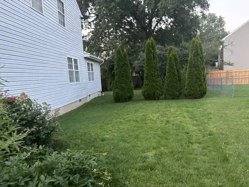 Tree Trimming Highland Acres