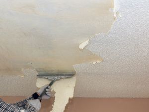 house washing in broward county