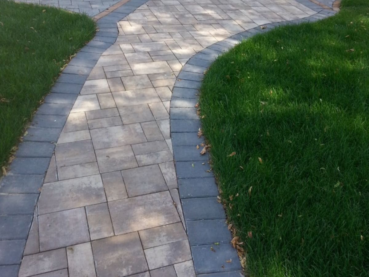 A curved walkway made of light-colored brick pavers with dark border accents, seamlessly blending into the surrounding lush green lawn.