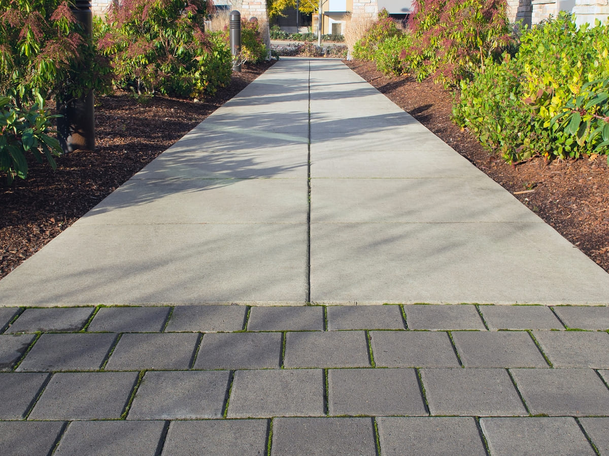 A well-maintained cement sidewalk bordered by brick pavers and lush landscaping, leading up to a residential area.