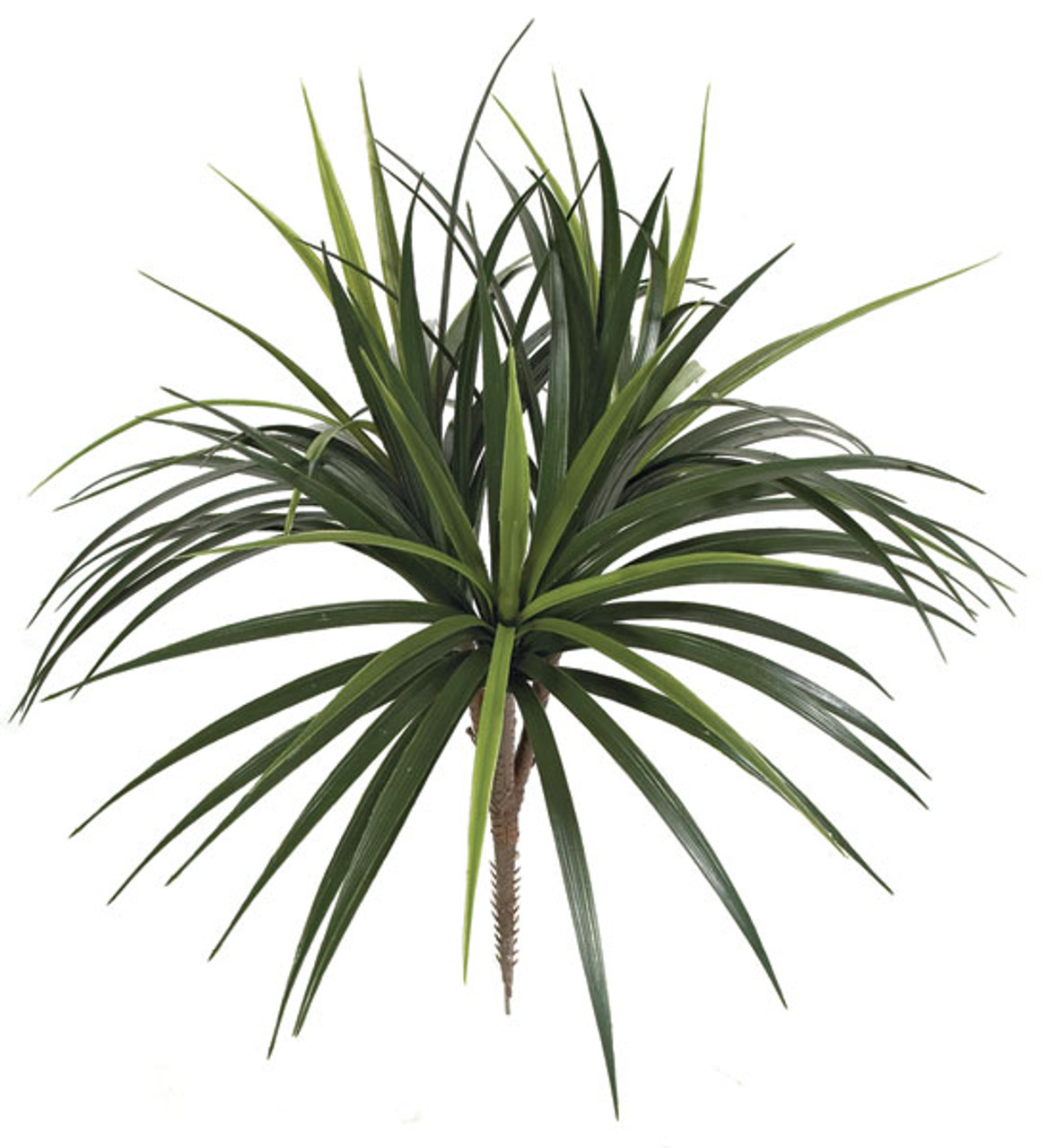 28" Liriope Bush - Green