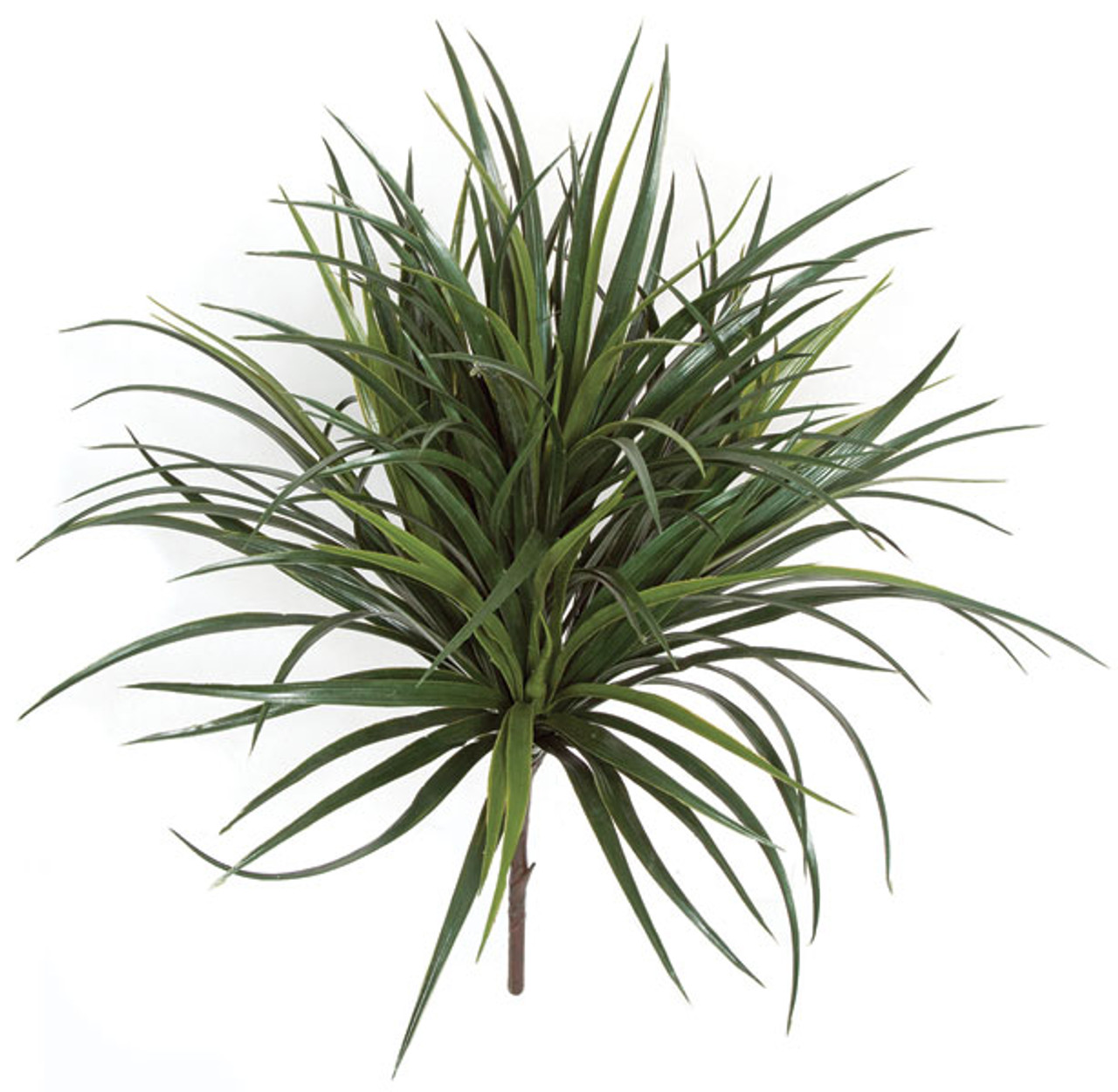 28" Liriope Bush - Green