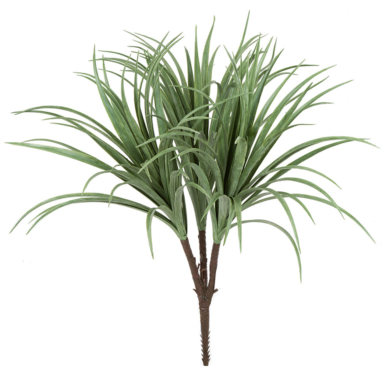 28" Liriope Bush - Cream/Green