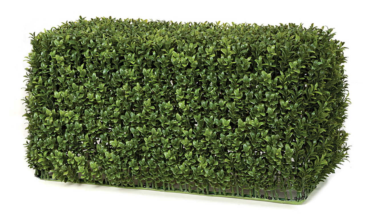 Polyblend Outdoor English Boxwood Hedge