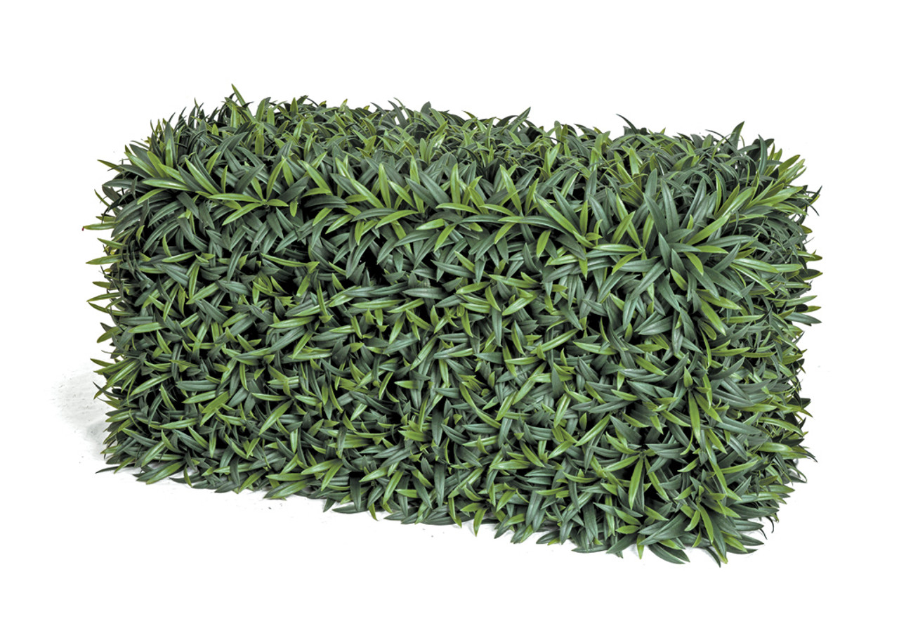 Polyblend Outdoor Podocarpus Hedge