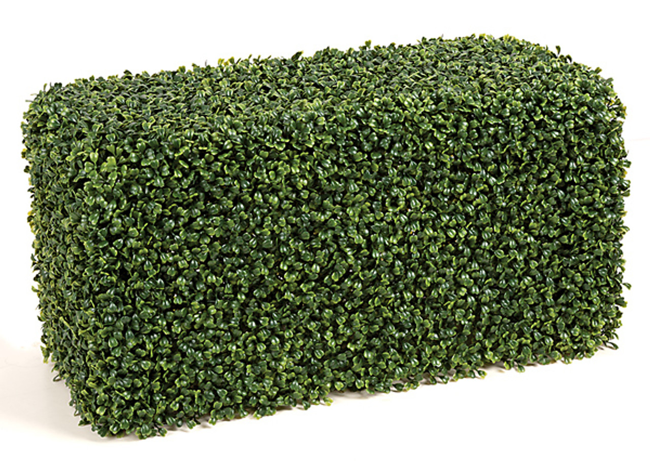 Polyblend Outdoor Traditional Boxwood Hedge