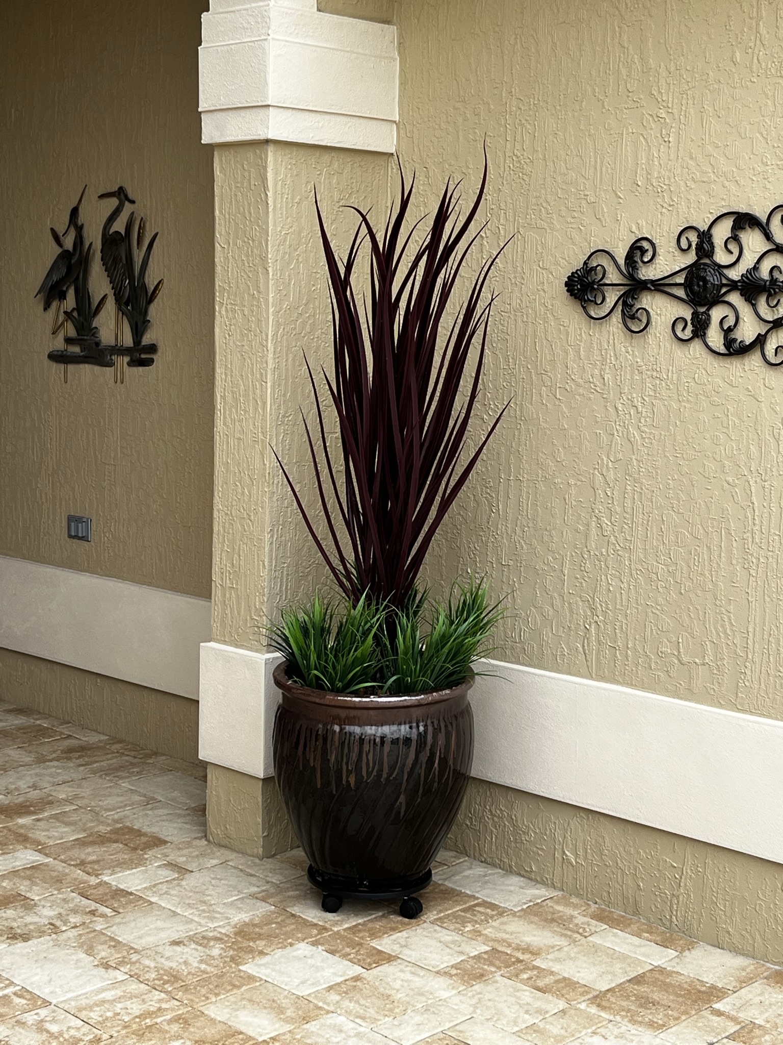 Tall burgundy grass with short green grass in tall planter