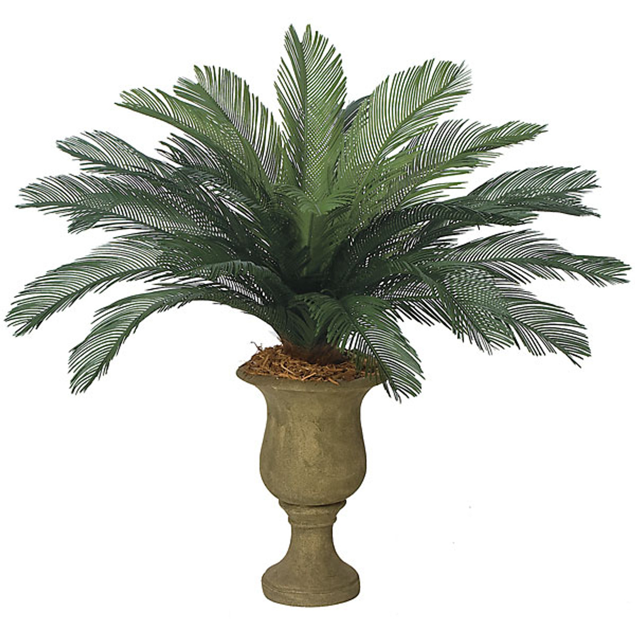 44 Inch Custom Cycas Palm Cluster with 24 Palm Fronds