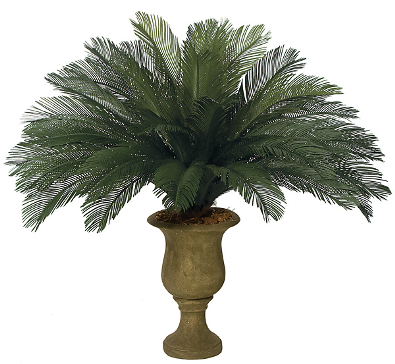 44 Inch Custom Outdoor Cycas Palm Tree, 36 Fronds