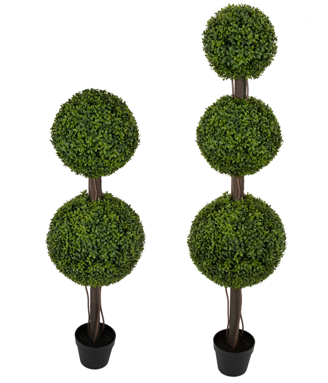 Outdoor English Boxwood Topiary