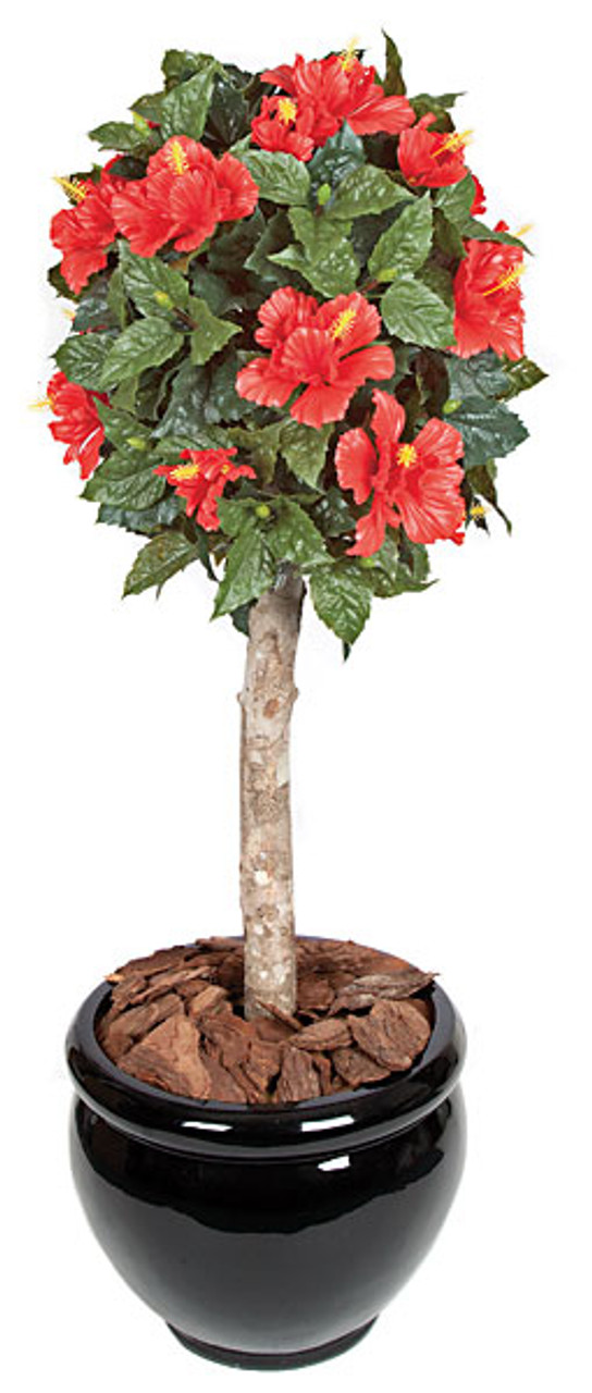 3.5 Foot Hibiscus Ball Topiary