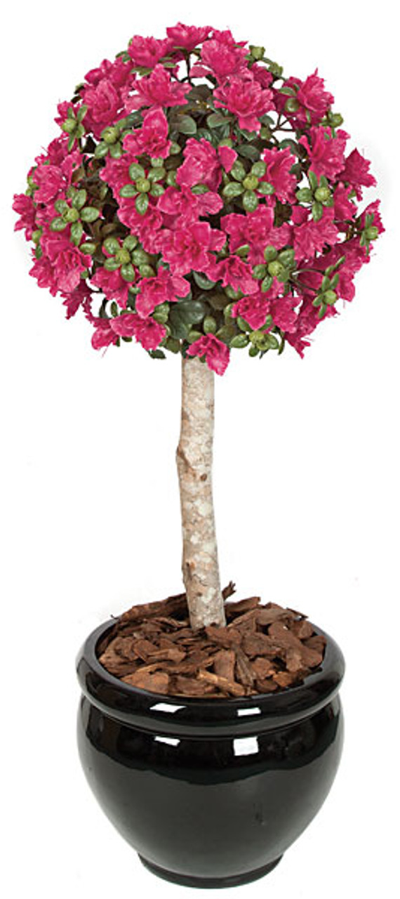 3.5 Foot Azalea Ball Topiary