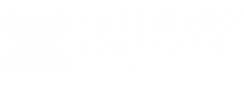 Logo Instituto Irapuato