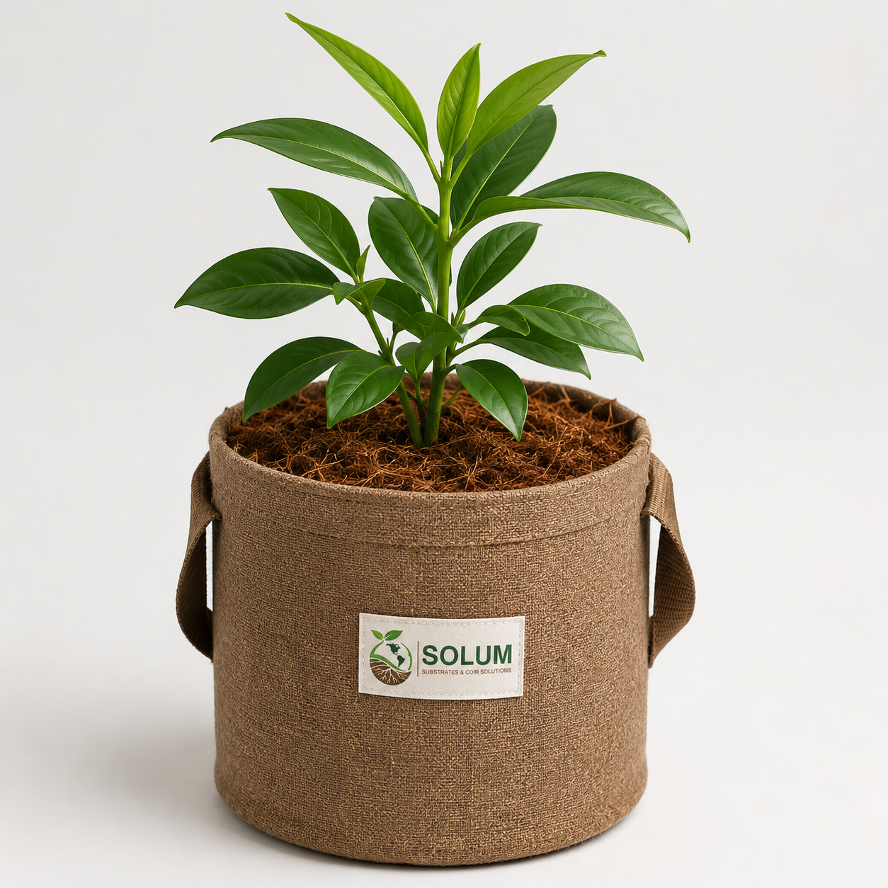 Planter Bags