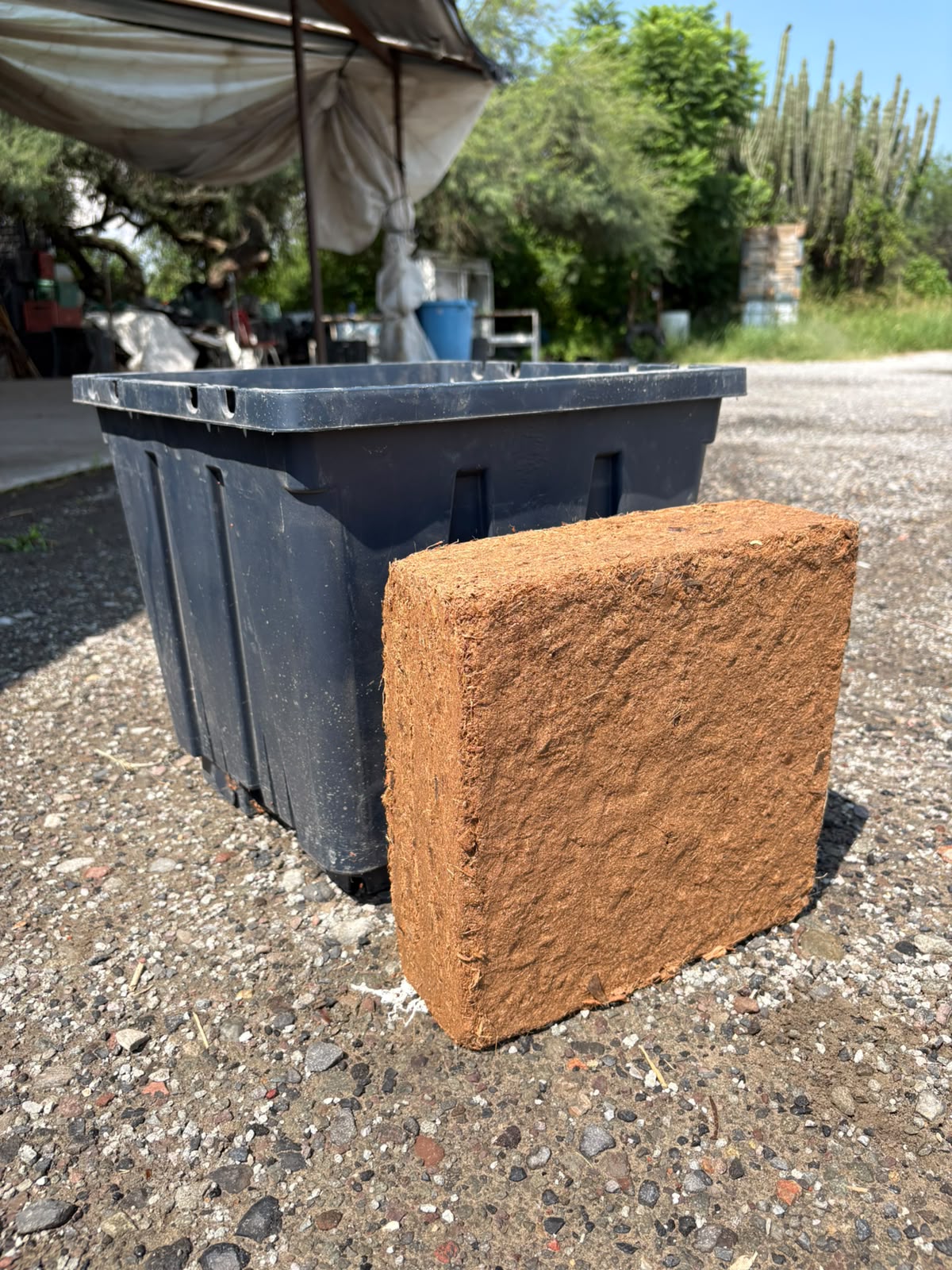 SOLUM Block Refill