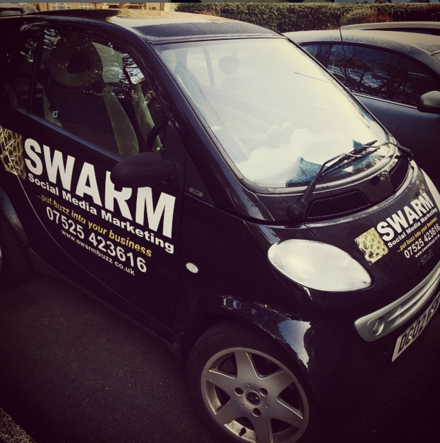 Olly Whittle, SWARM Social