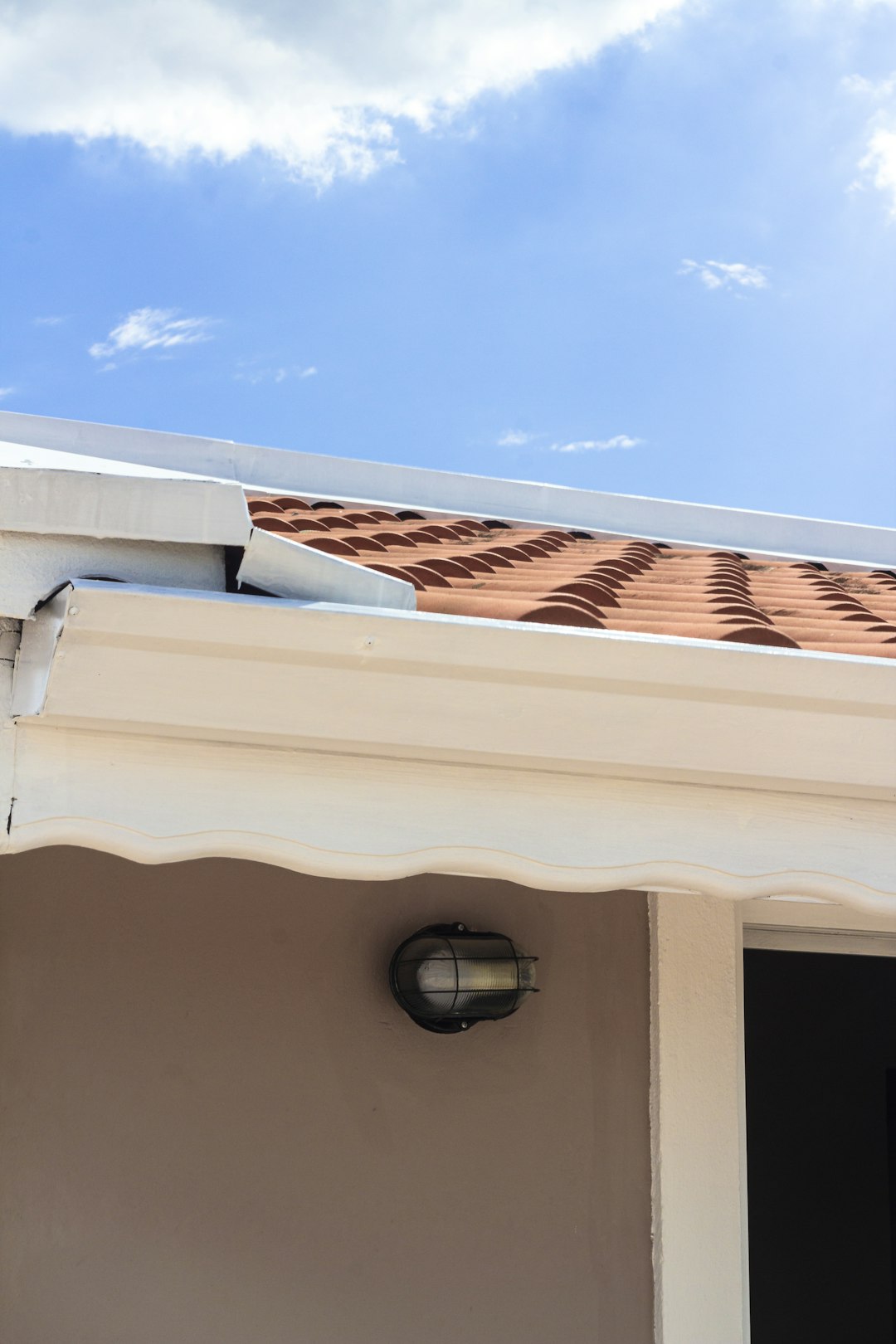 Gutter home cleaning