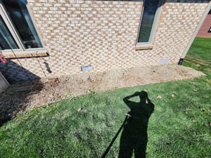 {{ custom_values.service_2 }} in {{custom_values.area_6})