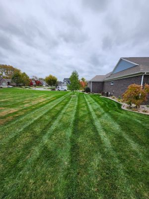 {{ custom_values.service_1 }} in {{custom_values.area_3})