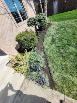 {{ custom_values.service_3 }} in {{custom_values.area_1})