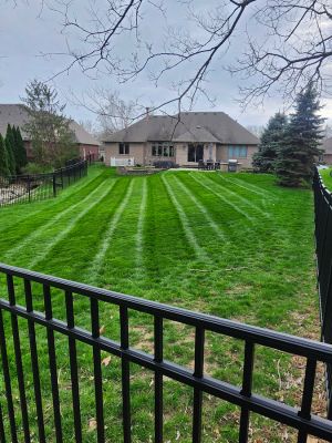 {{ custom_values.service_2 }} in {{custom_values.area_4})