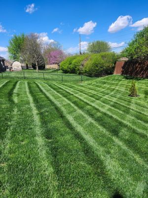 {{ custom_values.service_2 }} in {{custom_values.area_3})