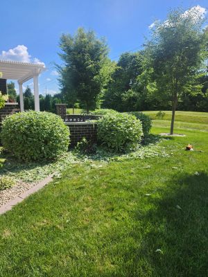 {{ custom_values.service_3 }} in {{custom_values.area_3})