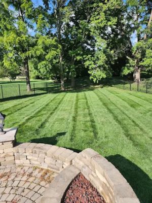 {{ custom_values.service_2 }} in {{custom_values.area_1})