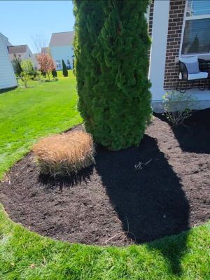 {{ custom_values.service_3 }} in {{custom_values.area_5})