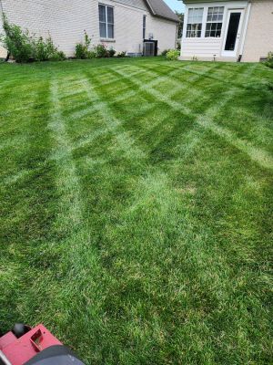 {{ custom_values.service_3 }} in {{custom_values.area_2})