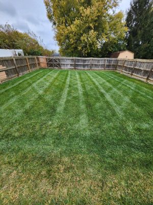 {{ custom_values.service_4 }} in {{custom_values.area_2})