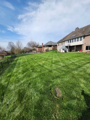 {{ custom_values.service_1 }} in {{custom_values.area_4})