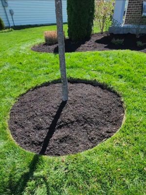 {{ custom_values.service_4 }} in {{custom_values.area_4})