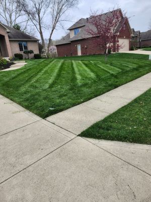 {{ custom_values.service_3 }} in {{custom_values.area_4})