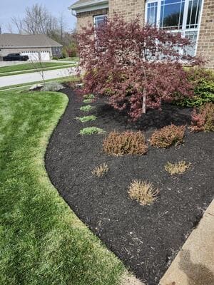 {{ custom_values.service_1 }} in {{custom_values.area_6})