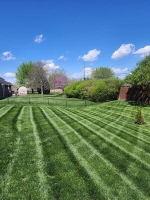 {{ custom_values.service_1 }} in {{custom_values.area_6})