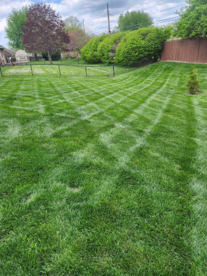 {{ custom_values.service_1 }} in {{custom_values.area_6})