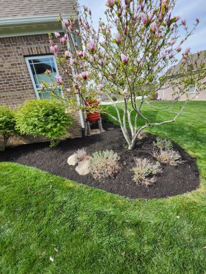 {{ custom_values.service_1 }} in {{custom_values.area_6})