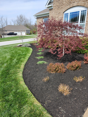 {{ custom_values.service_1 }} in {{custom_values.area_6})