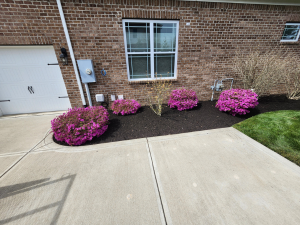 {{ custom_values.service_1 }} in {{custom_values.area_6})