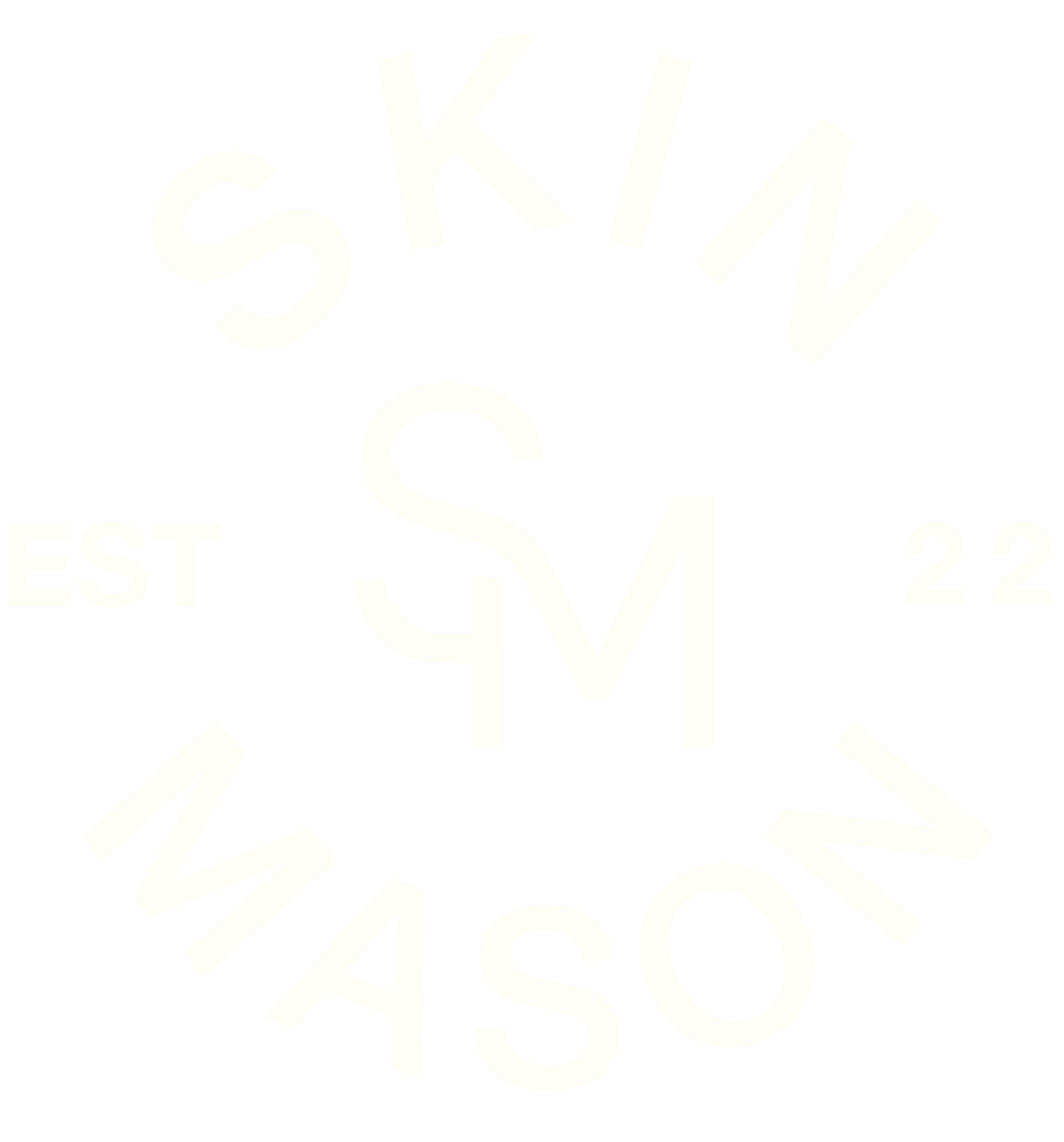 Skin Mason